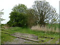 TF4406 : Crooked Bank level crossing, Wisbech by Richard Humphrey