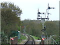 SZ5589 : Semaphore signals at Havenstreet by Malc McDonald