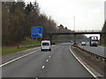 NS7844 : M74 Near Blackwood by David Dixon