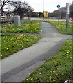 SD7401 : Dandelions by the East Lancs Road by Gerald England