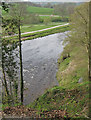 SE0754 : River Wharfe from a high perch by Pauline E