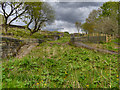 SD7506 : Manchester, Bolton And Bury Canal, Nob End Locks by David Dixon