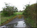 TL4979 : Field entrance off the A142 by JThomas