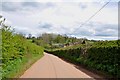  : Downhill on Sides Lane towards Knaveholm Farm by Mick Malpass