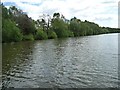 SJ7371 : Eastern edge of Shakerley Mere by Christine Johnstone