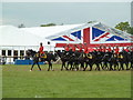 SX9891 : Royal Canadian Mounted Police musical ride by Chris Allen