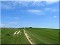 TQ3412 : South Downs Way ascending Great Hill by Chris Heaton