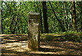 SU8935 : Milestone at Hindhead, Surrey by Peter Trimming