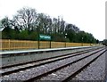 TQ3838 : Bluebell Railway platform, East Grinstead by nick macneill