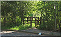 TQ6996 : Pedestrian entrance to Norsey Wood by Roger Jones