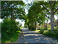 SO7508 : Welcome shade on a hot day, Frampton on Severn by Jaggery