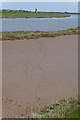 TM4875 : Bird tracks in mudflats beside River Blyth by Peter Facey