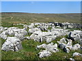 SD8870 : Limestone Pavement near Darnbrook Pot by Chris Heaton