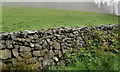 J3246 : Drystone wall. Drumkeeragh near Dromara (1) by Albert Bridge