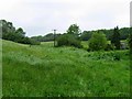 SK9301 : River Chater upstream from Back Lane by Andrew Tatlow