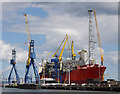 J3676 : The 'SeaRose FPSO' at Belfast by Rossographer