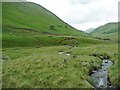 NY4314 : Four small trees make a mapped wood in Ramps Gill by Christine Johnstone