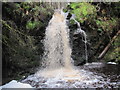 NY7899 : Hindhope Linn (set of 3 images) by Les Hull