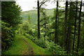 SH6806 : View From the Woods, Nant Gwernol, Gwynedd by Peter Trimming