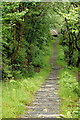 SH6806 : Towards Nant Gwernol Station, Gwynedd by Peter Trimming