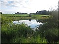 NU0040 : Lake in field corner, near Lowick by Graham Robson