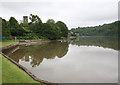 SX8457 : The Mill Pool with the Church beyond by roger geach