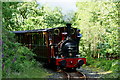 SH6806 : No.2 'Dolgoch' Arriving at Nant Gwernol Station, Gwynedd by Peter Trimming