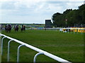 TL6161 : The July Course, Newmarket - Horses pass the winning post by Richard Humphrey