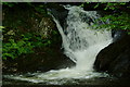 SH6504 : The Dolgoch Falls, Gwynedd by Peter Trimming