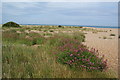 TR3750 : Walmer Beach by Bill Boaden