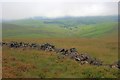 SJ9974 : Ruined wall, The Tors by Mick Garratt