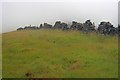 SJ9975 : Ruined Wall, Cats Tor by Mick Garratt