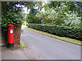 TG1906 : Colney Lane & Colney Lane Victorian Postbox by Geographer