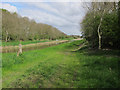 TL7180 : Footpath along Cut-off Channel by Hugh Venables