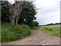 TG2800 : Wash Lane Byway to the B1332 Bungay Road by Geographer