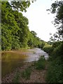 SY0886 : River Otter below Burnthouse Farm by Derek Harper