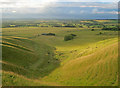 SU0267 : Downland at Calstone Barn by Trevor Rickard