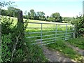 SE3639 : Gate into grass field by Christine Johnstone