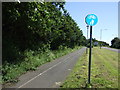 NZ2888 : Dual use path beside the A197 by JThomas