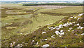  : Fence line descending to Stang Forest by Trevor Littlewood