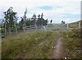 NH4835 : Gate on the moorland track, by Boblainy Forest by Craig Wallace