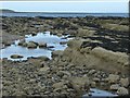 NU2611 : Rock pools on Marden Rocks by Russel Wills