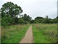 SE3537 : Path south of Green Lane by Christine Johnstone