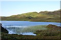 NM9101 : Rushes on Loch nan Cèard Mòr by Patrick Mackie