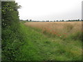 SK6991 : Footpath to Carr Hill Farm by Jonathan Thacker