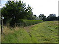 TM3679 : Footpath to Lodge Lane by Geographer