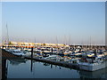 TQ3303 : Moorings in Brighton Marina by Paul Gillett