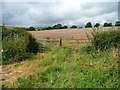 SK8404 : Gate into oilseed rape field by Christine Johnstone