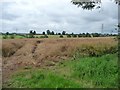 SK8702 : Entrance to an oilseed rape field by Christine Johnstone