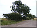 TM4366 : Footpath to Fenn Farm & Church Road &  entrance to Theberton Hall Farm by Geographer